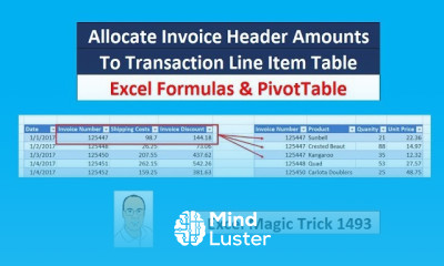 EMT 1493 Excel Formulas PivotTable Allocate Invoice Header Amounts To Transaction Line Table