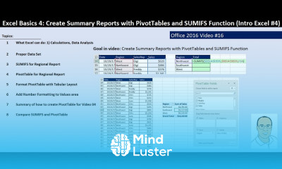 Excel Basics 4 PivotTables SUMIFS Function to Create Summary Reports Intro Excel 4