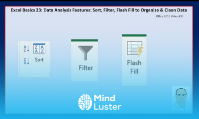 Excel Basics 23 Data Analysis Features Sort Filter Flash Fill to Organize Clean Data