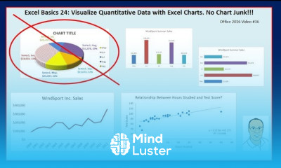 Excel Basics 24 Excel Charts Graphs to Visualize Quantitative Data No Chart Junk
