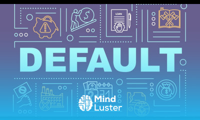Default Overview Assessment and Key Factors