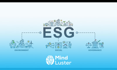 Environmental Social and Governance ESG Overview and Framework