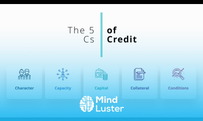 What are the 5 Cs of Credit