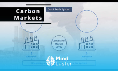 What are Carbon Markets