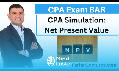 Net Present Value Buy Versus Lease CPA Simulation