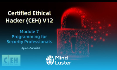 Module 7 Programming for Security Professionals