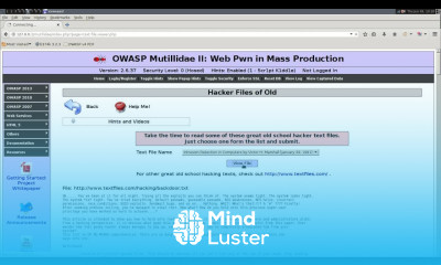 OWASP Local File Inclusion Vulnerability Prime 1 Vulnhub CTF Walkthrough