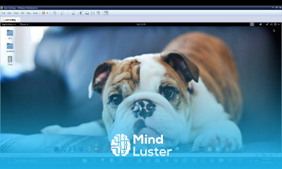 Bulldog2 CTF vulnhub walkthrough OSCP Intermediate level