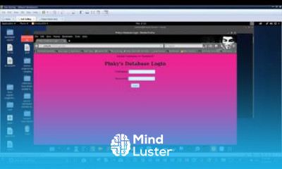 Pinky Palace V2 Vulnhub walkthrough RCE and Buffer Over Flow P7