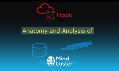 Anatomy and Analysis of SQL Injection TryHackMe Advent of Cyber