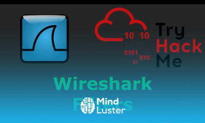Basics of Wireshark Filters TryHackMe Advent of Cyber