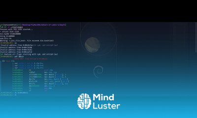 Reverse Engineering with Radare2 TryHackMe Reverse Elf ineering Advent of Cyber