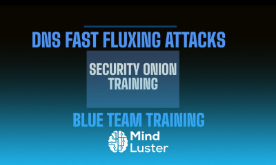 Security Onion Training EP1 How to Detect DNS fast fluxing domains