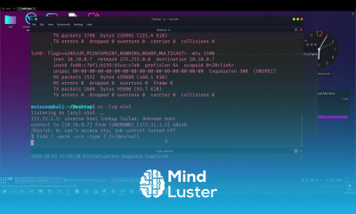 Using Python Interpreters and Hex Editors To Gain Root Access Cyberseclabs Debug