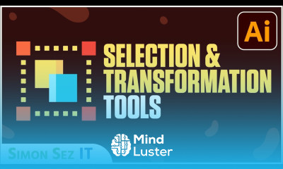 How to Use Selection and Transformation Tools Adobe Illustrator CC