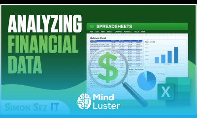Analyzing Financial Data using Microsoft Excel
