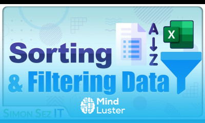 Sorting and Filtering Data in Microsoft Excel