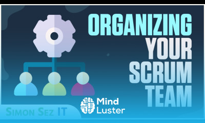 Agile Scrum How to Organize Your Scrum Team
