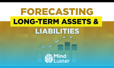 How to Forecast the Long Term Assets and Liabilities for a Business Financial Modeling