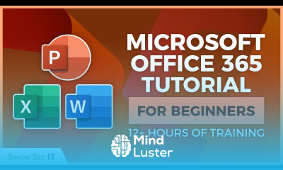 Microsoft Office 365 for Beginners 12 Hours of Excel Word and PowerPoint Training Course