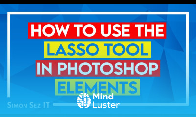 Photoshop Elements Tutorial How to Use the Lasso Tool in Photoshop