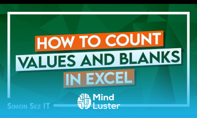 How to Count Values and Blanks in Excel