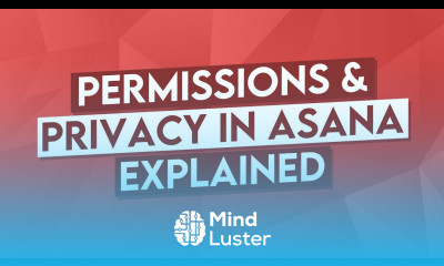 Asana Privacy and Permissions Explained