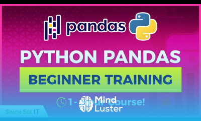 Learn Python Pandas 1 Hour Pandas Course for Beginners