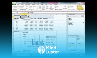 Building a Pivot Table in Excel 2010 Part 3 Filtering