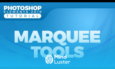 How to Use Selection and Use Marquee Tools in Photoshop Elements 2018