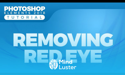 How to Remove Red Eye in Photoshop Elements 2018 with Eye Tool