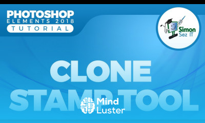 How to Use the Clone Stamp Tool in Adobe Photoshop Elements 2018