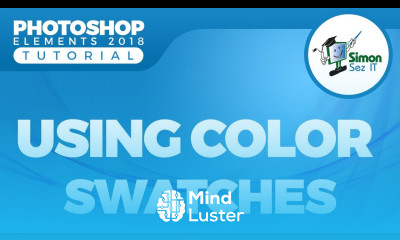 How to Use Color Swatches in Adobe Photoshop Elements 2018