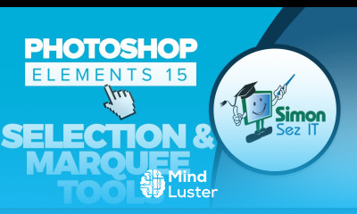 How to Use the Basic Selection and Marquees Tools in Photoshop Elements 15
