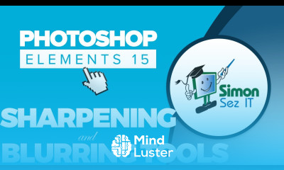 How to Sharpen Blur a Photo Using Photoshop Elements 15