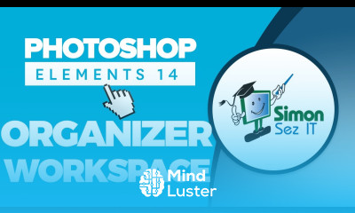 Learning How to Use Adobe Photoshop Elements 14 Organizer Workspace