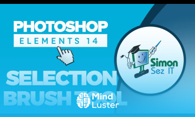How to Use the Selection Brush in Adobe Photoshop Elements 14