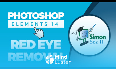 How to Remove Red Eye in People and Blue Eye in Pets with Adobe Photoshop Elements 14