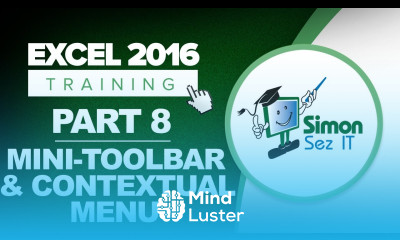 Excel 2016 for Beginners Part 8 How to Use the Mini Toolbar and Contextual Menu