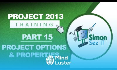 Project 2013 for Beginners Part 15 Project Options Timeline Advanced Properties