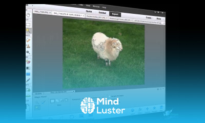 Photoshop Elements 12 Tutorial How to Use the Magic Wand Tool in Photoshop Elements 12