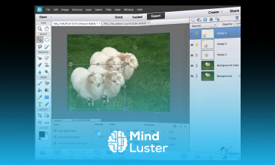How to Use Layers in Photoshop Elements 12 Part 2 Working With Layers