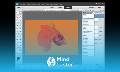How to Use Layers in Photoshop Elements 12 Part 5 Using Blending Layers in PSE 12