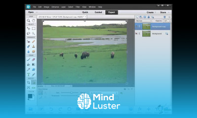 Photoshop Elements 12 Training Tutorial How to Recompose a Photo Using Recompose