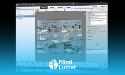 Learn how to use Photoshop Elements 11 Part 8 How to Classify Images Using Tags
