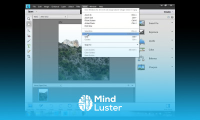 Learn how to use Photoshop Elements 11 Part 27 Using Toolbox Menu Panel and Photo Bin