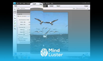 Learn how to use Photoshop Elements 11 Part 33 How to Resize a Picture in Photoshop