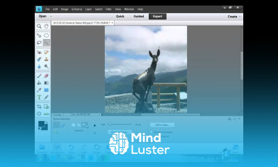 Learn how to use Photoshop Elements 11 Part 35 How to Use the Quick Selection Tool