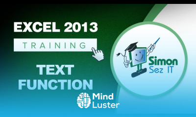 Microsoft Excel 2013 Training Using the Text Function
