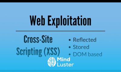Cross Site Scripting Stored Reflected and DOM